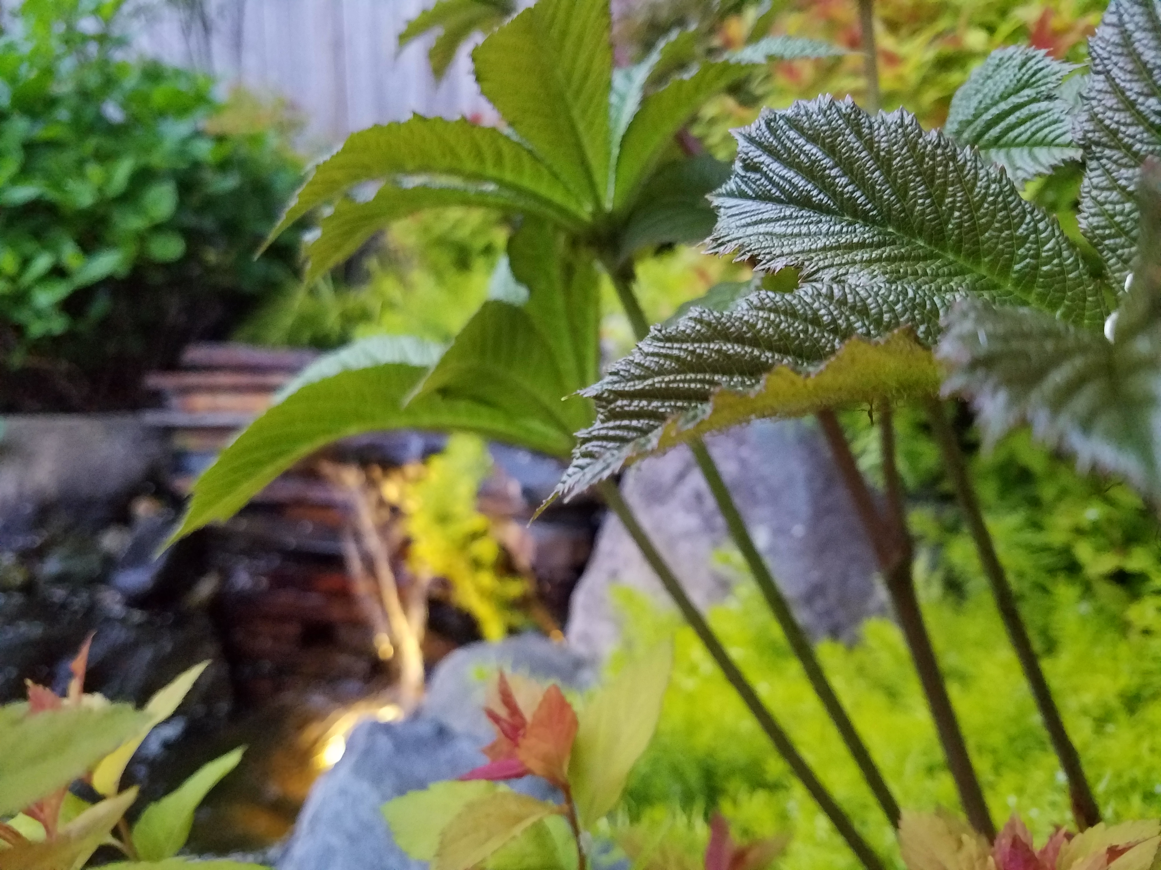 Kismet Design Landscape Architecture Creating unique gardens with