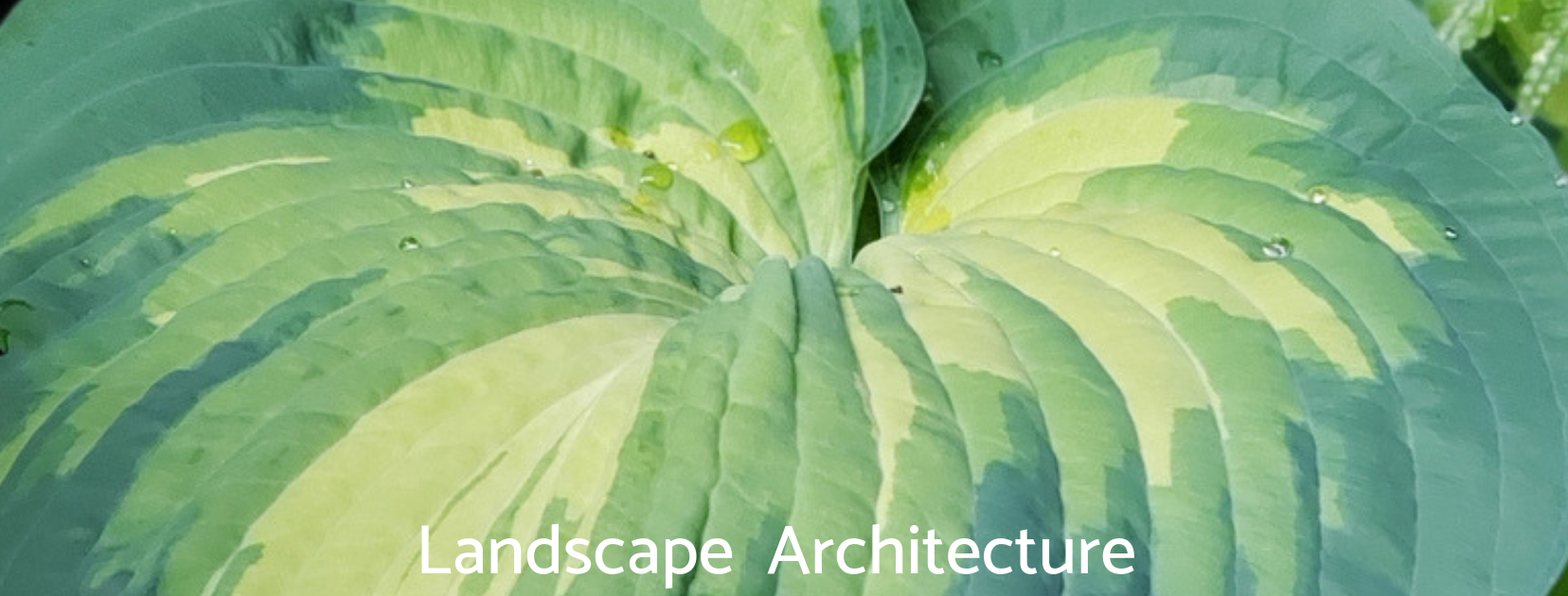 Landscape Architecture